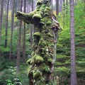 unberührte Natur