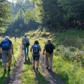Wandern in der hinteren Sächsischen Schweiz