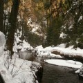 Die Kirnitzsch im Winter 