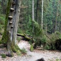 Nationalpark
