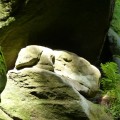 &quotSchaf" an der Oberen Schseuse 