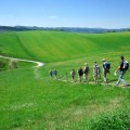 Panoramaweg